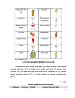 Referāts 'Džins', 9.