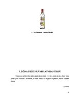 Referāts 'Džins', 11.