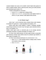 Referāts 'Džins', 14.