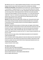 Konspekts 'Report on Raccoon', 2.