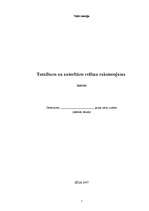 Referāts 'Totalitāro un autoritāro režīmu raksturojums', 1.