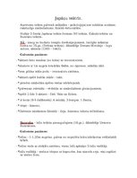 Konspekts 'Japāņu teātris', 1.