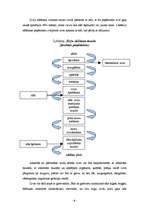 Referāts 'Zivis un to pārstrādes produkti', 6.