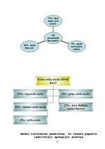 Referāts 'Medus mūsu veselībai', 25.