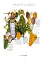 Referāts 'Medus mūsu veselībai', 33.