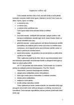 Referāts 'Darba samaksa AS "X"', 5.