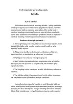 Paraugs 'Darbs ergonomijā par insulta pacientu', 1.