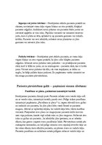 Paraugs 'Darbs ergonomijā par insulta pacientu', 5.
