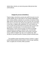 Paraugs 'Darbs ergonomijā par insulta pacientu', 6.