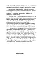 Paraugs 'Darbs ergonomijā par insulta pacientu', 8.