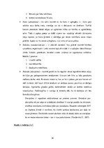 Diplomdarbs 'SIA "Schenker" iekšējās organizatoriskās stratēģijas analīze un tās pilnveidošan', 26.