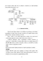 Diplomdarbs 'SIA "Schenker" iekšējās organizatoriskās stratēģijas analīze un tās pilnveidošan', 31.