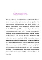 Referāts 'Sidneja, Kanbera, Melanēzija', 2.