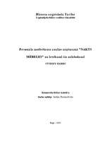 Referāts 'Personāla motivēšanas analīze uzņēmumā ”Nakts mēbeles” un ieteikumi tās uzlaboša', 1.