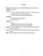 Referāts 'Estētiskā gaume', 7.