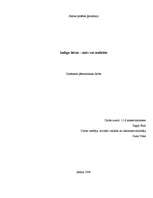 Referāts 'Indigo bērni - mīts vai realitāte', 1.