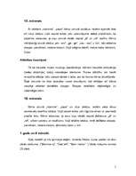 Konspekts 'Bērna runas un valodas attīstība ontoģenēzē', 5.