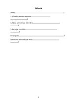 Referāts 'Ķīniešu rakstība senatnē', 2.