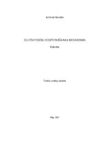 Referāts 'Cilvēktiesību iedzīvināšanas mehānisms', 1.