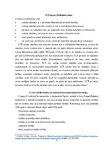 Referāts 'Cilvēktiesību iedzīvināšanas mehānisms', 5.