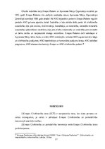 Referāts 'Cilvēktiesību iedzīvināšanas mehānisms', 17.