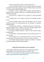 Referāts 'Cilvēktiesību iedzīvināšanas mehānisms', 18.