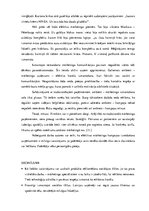 Referāts 'Uzņēmumu izaicinājumi mārketingā šodien un nākotnē', 13.