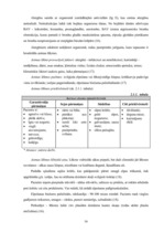 Diplomdarbs 'D.Oremas teorijas pielietojums bronhiālās astmas pacientu aprūpē', 16.