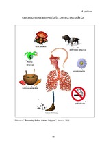 Diplomdarbs 'D.Oremas teorijas pielietojums bronhiālās astmas pacientu aprūpē', 66.