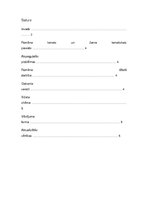 Referāts 'Agata Kristi "Austrumu ekspresis"', 2.