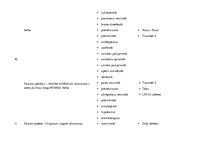 Konspekts 'Augu preparāti', 4.