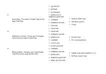 Konspekts 'Augu preparāti', 9.