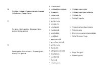 Konspekts 'Augu preparāti', 12.