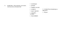 Konspekts 'Augu preparāti', 13.