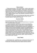 Referāts 'География турцентров туристического региона. Индия', 3.