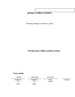 Prakses atskaite 'Cilvēkresursu vadības prakses atskaite', 1.