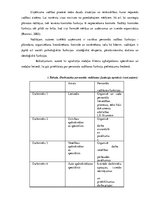 Prakses atskaite 'Cilvēkresursu vadības prakses atskaite', 14.