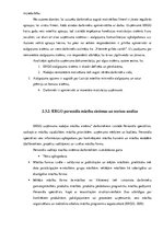 Prakses atskaite 'Cilvēkresursu vadības prakses atskaite', 32.