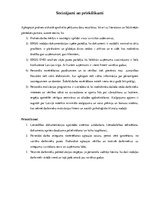 Prakses atskaite 'Cilvēkresursu vadības prakses atskaite', 37.