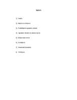 Eseja 'Trīs dienu ceļojums pa Sanktpēterburgu', 2.