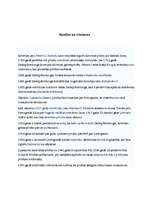 Eseja 'Trīs dienu ceļojums pa Sanktpēterburgu', 4.