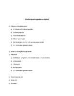 Eseja 'Trīs dienu ceļojums pa Sanktpēterburgu', 5.