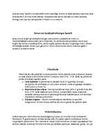 Eseja 'Trīs dienu ceļojums pa Sanktpēterburgu', 7.