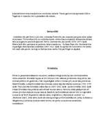 Eseja 'Trīs dienu ceļojums pa Sanktpēterburgu', 8.