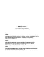 Eseja 'Trīs dienu ceļojums pa Sanktpēterburgu', 9.