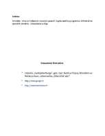 Eseja 'Trīs dienu ceļojums pa Sanktpēterburgu', 10.