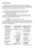 Referāts 'Matemātiskās sakarības mūsu dzīvē', 15.