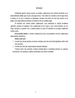Paraugs 'Datu bāzes projekts', 9.