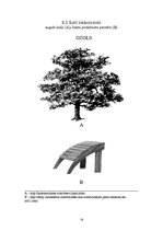 Konspekts 'Koksnes trauslums un lokanība', 16.