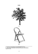 Konspekts 'Koksnes trauslums un lokanība', 17.